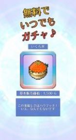 白浦食堂 v1.0.3 1