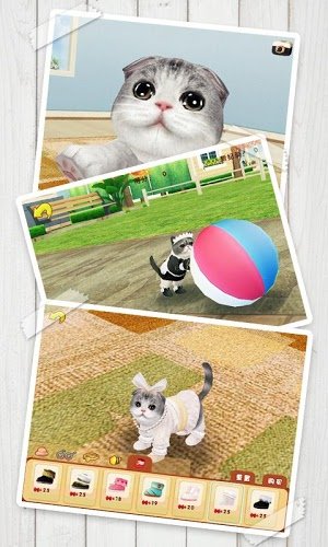心動(dòng)小貓 v1.36.2 1
