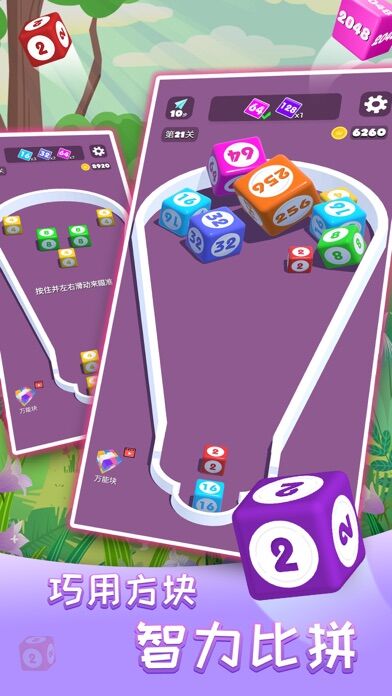 2048進階版合成與對戰(zhàn) v1.0.1 1
