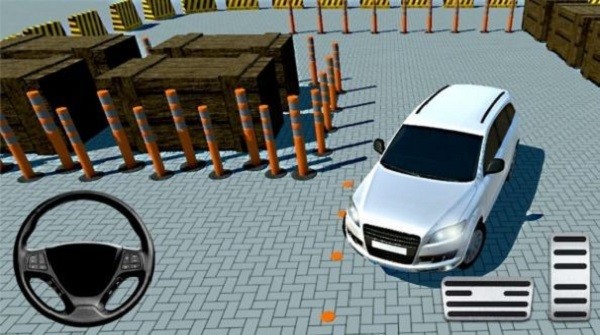 經(jīng)典停車達人 v1.0 1