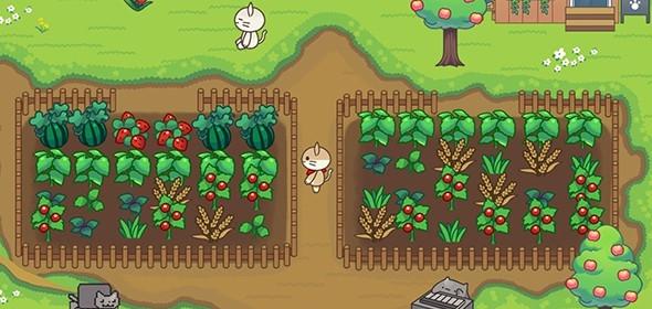 貓咪森林治愈露營 v1.12 1