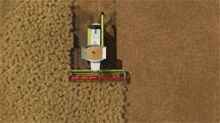 奇幻農場物語 v1.0 1