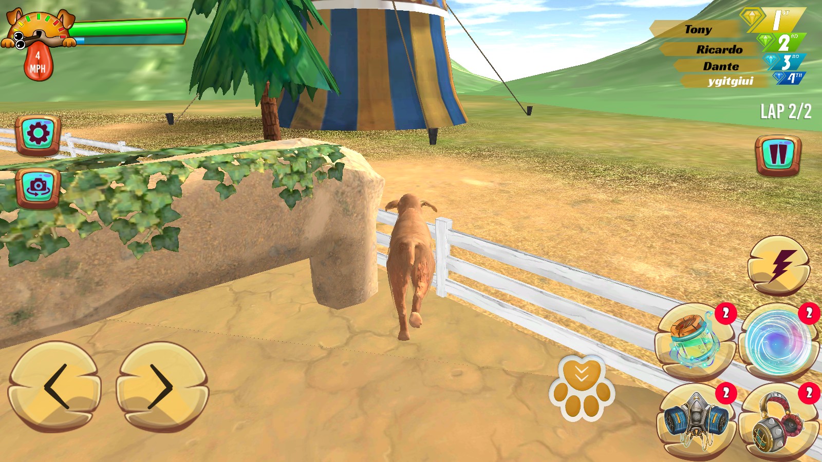 zoro寵物狗比賽 v1.1 0