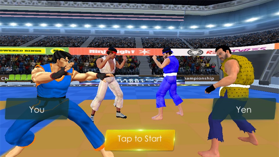 空手道格斗 v2.4.9 2