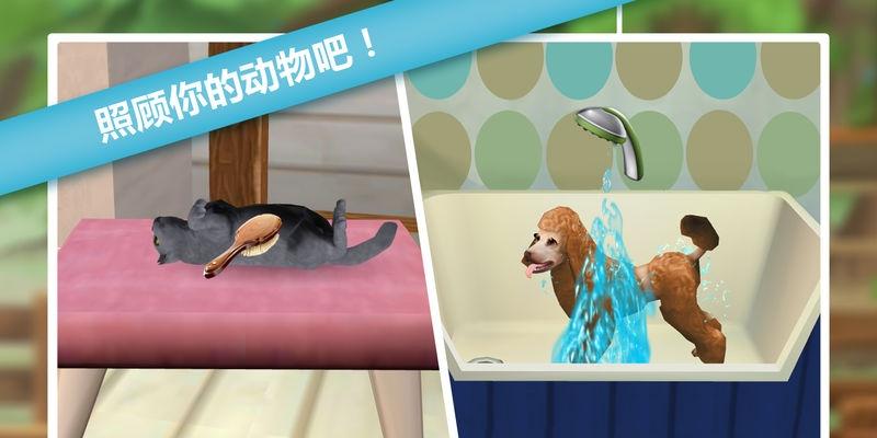 我的動物寄養 v1.0.19412 1