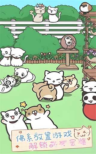 貓咪養生會所 v1.0.1 1