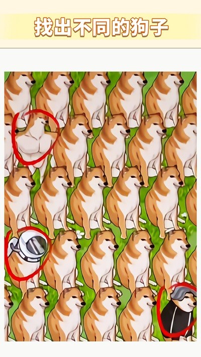 一起找不同吧 v1.0 0