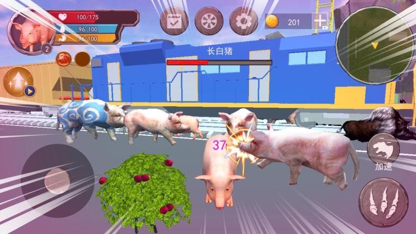 小豬模擬器1 v1.0 0