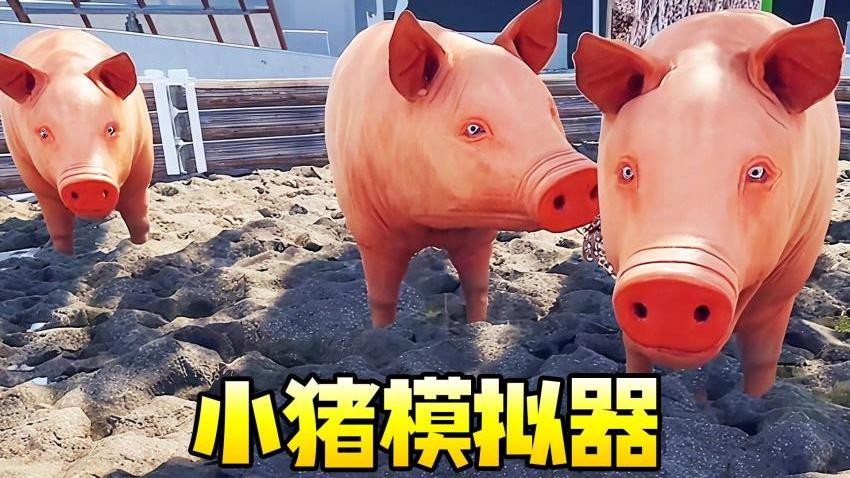 小豬模擬器1 v1.0 3