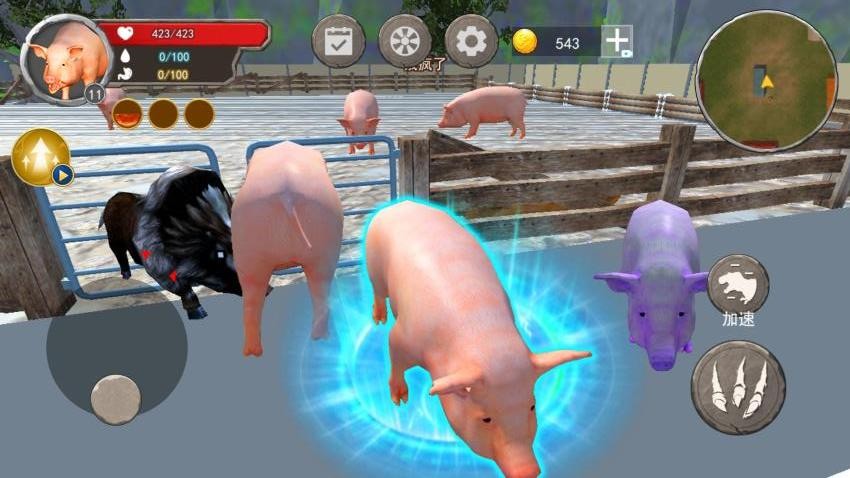 小豬模擬器1 v1.0 2