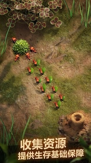 小小蟻國安卓版 v3.58.0 0