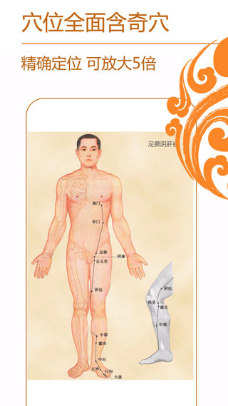 經絡養生手機版 v4.0.1安卓版 1