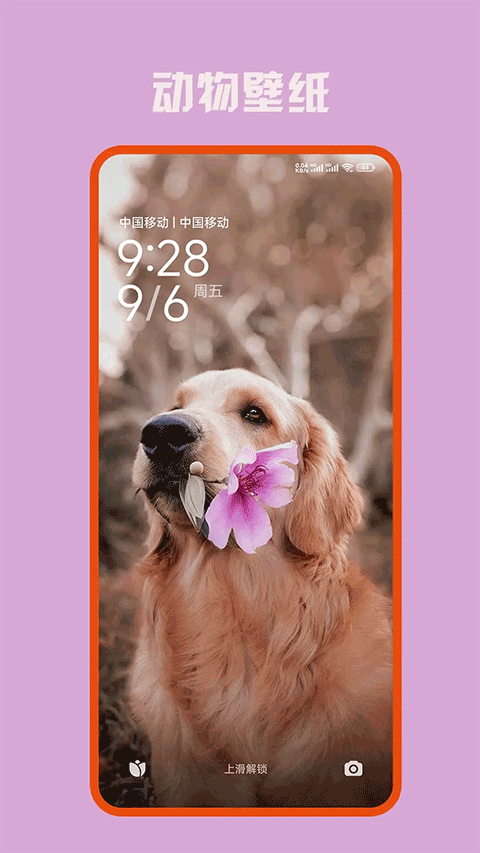 萌貓百變相機手機版 v10.0.803安卓版 1