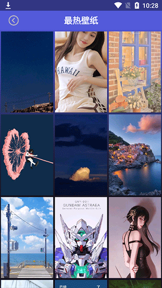 安卓壁紙大全app v2.2.7安卓版 3