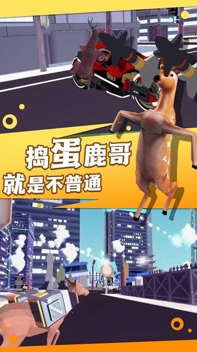瘋狂動物偵探社 v1.0 1