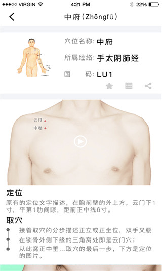 經絡穴位圖解軟件 v6.5.1 安卓最新版 2