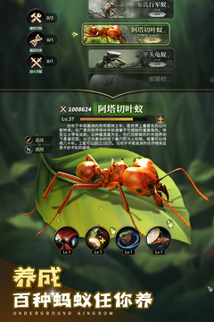 小小蟻國游戲正版(The Ants) v3.0.60 安卓版 1