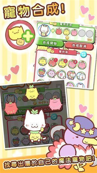 魔法寵物屋中文版 v1.0.0 0