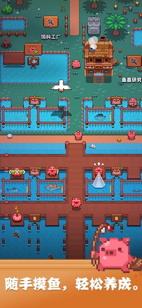 開拓豬之島免廣告 v1.0.8 0