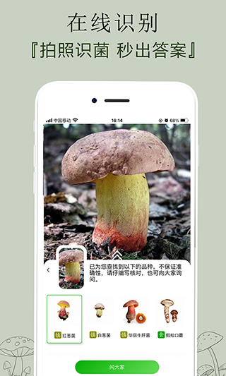 菌窩子識別 v4.6.2安卓版 2