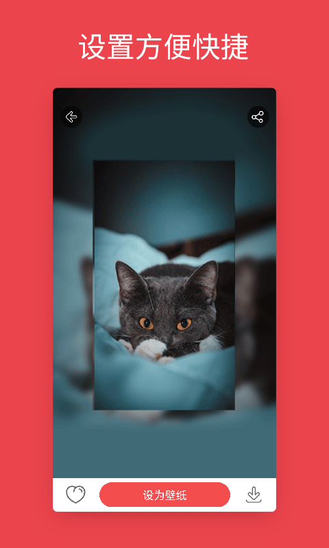 手機安卓動態壁紙軟件 v4.3.1 安卓最新版 2