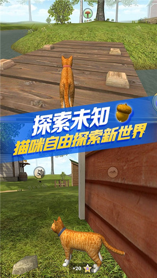 貓咪生存模擬器最新版 v218 0