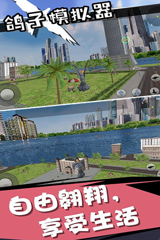 鴿子模擬器 v4.0.0 0