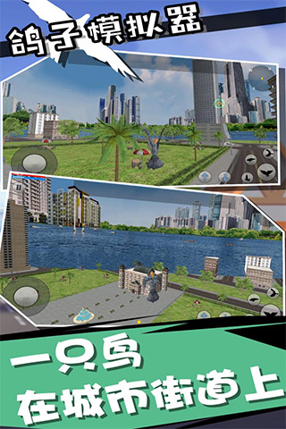 鴿子模擬器 v4.0.0 1